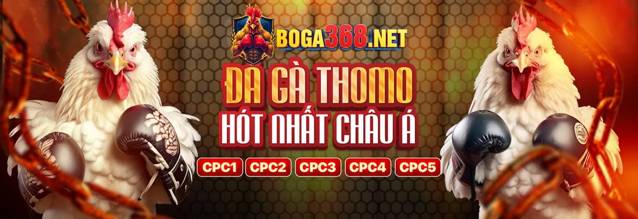 Hình ảnh minh họa chính sách cookie và bảo mật dữ liệu của bet 368